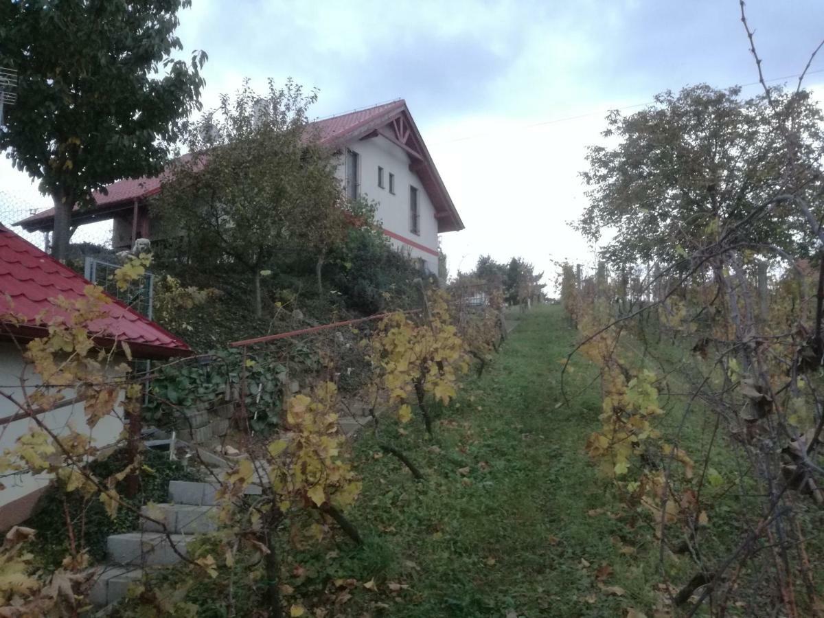 Penzion Nad Jezerem Pavlov Exterior foto